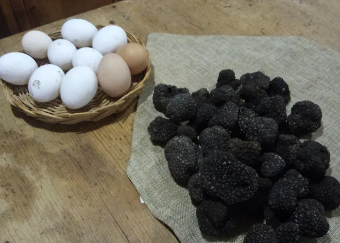 فندق مبيت وإفطار Col Di Piagge غالدو تادينو