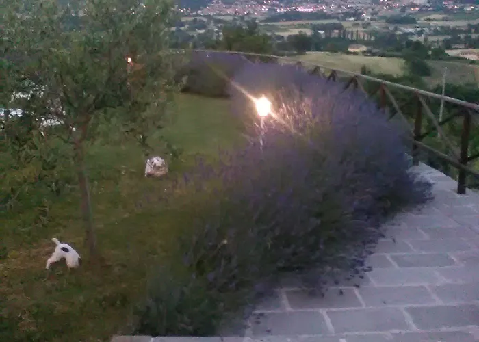 فندق مبيت وإفطار Col Di Piagge 3*