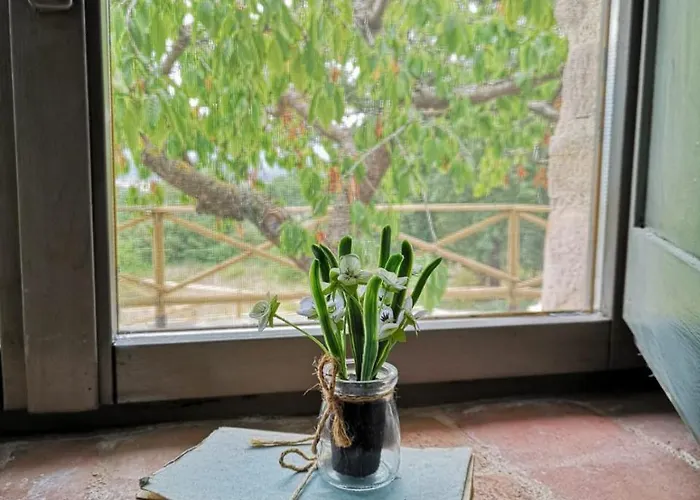 فندق مبيت وإفطار Col Di Piagge